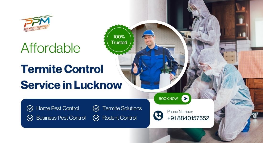 Affordable Termite Control Service in Lucknow