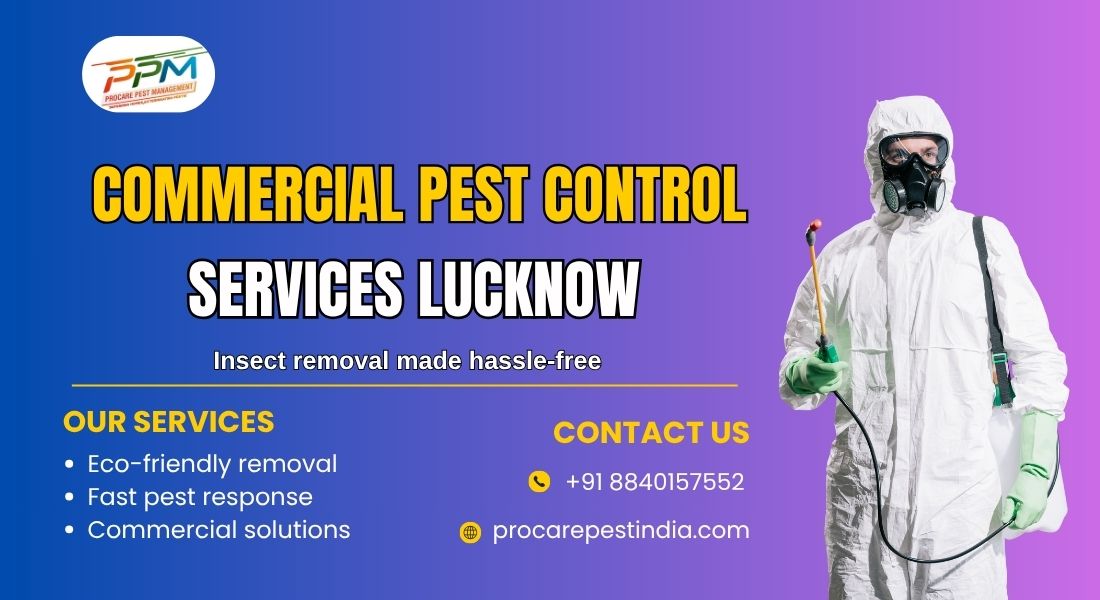 Commercial Pest Control Services in Lucknow