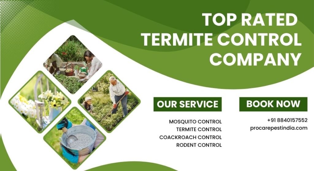 Top Rated Termite Control Company in Lucknow