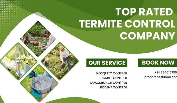 Top Rated Termite Control Company in Lucknow