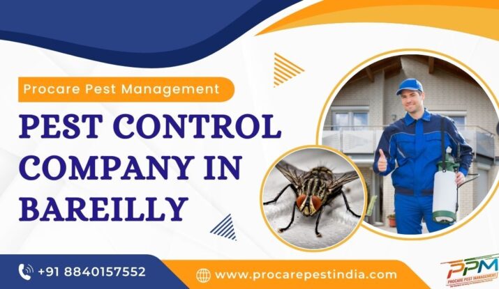Termite Control in Bareilly