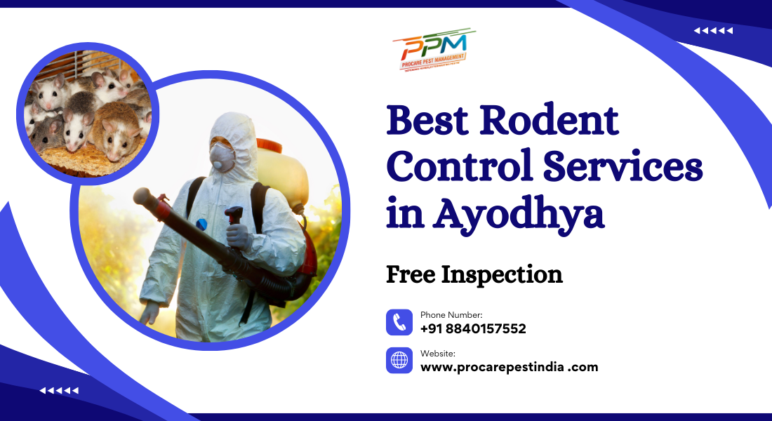 Best Rodent Control Services in Ayodhya