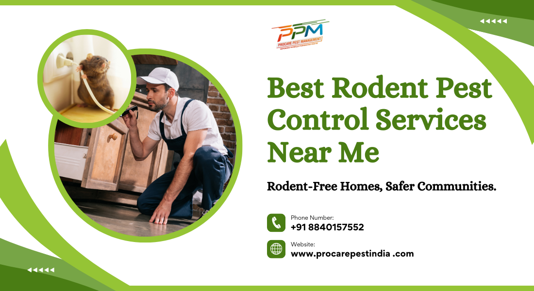 Best Rodent Pest Control Services Near Me