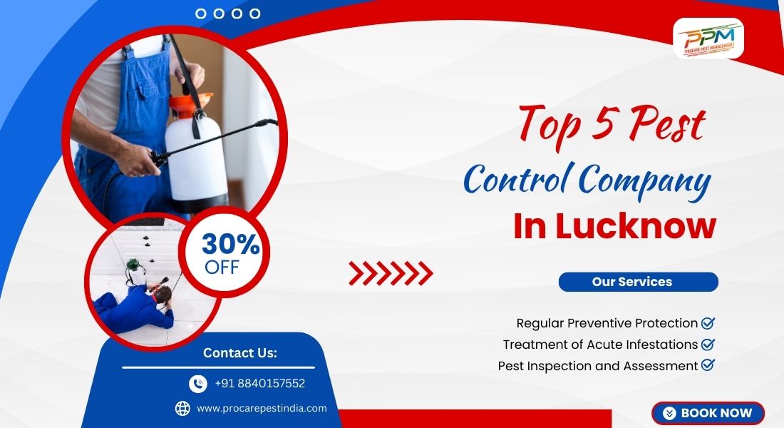 Top 5 Pest Control Companies in Lucknow