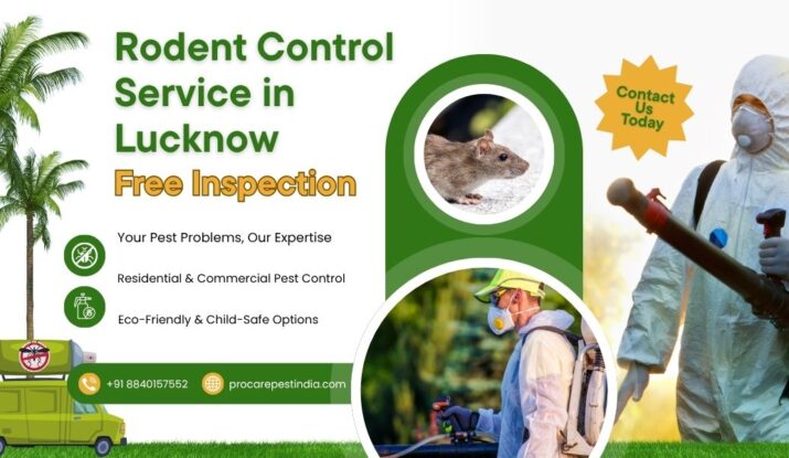 Rodent Control Service in Lucknow