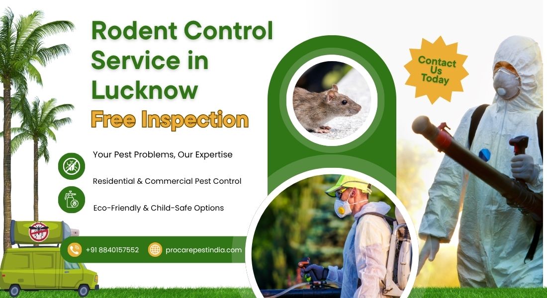 Rodent Control Service in Lucknow
