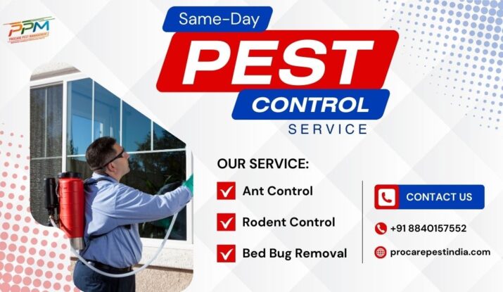 Same-Day Pest Control in Lucknow