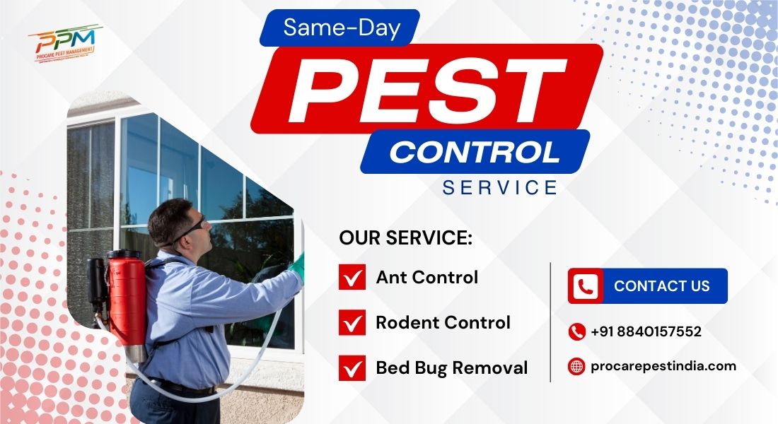Same-Day Pest Control in Lucknow