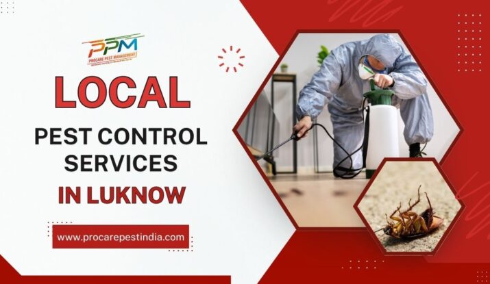 Local Pest Control Service in Lucknow