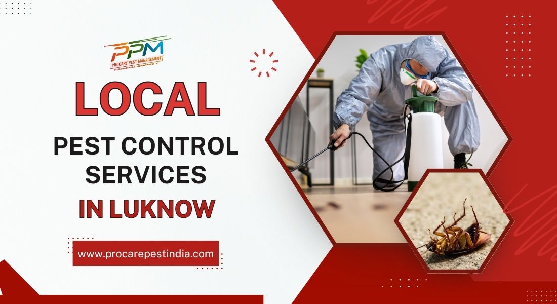 Local Pest Control Service in Lucknow