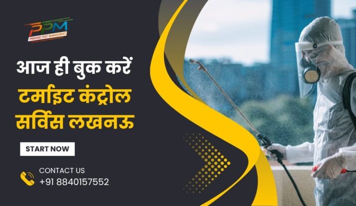 Termite Control Company In Lucknow