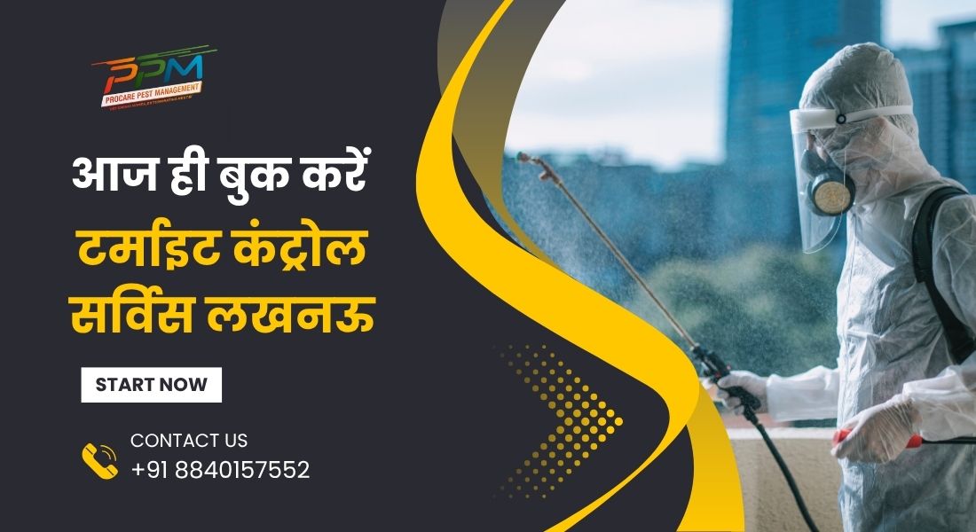 Termite Control Company In Lucknow