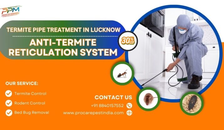 Anti-Termite Reticulation System in Lucknow