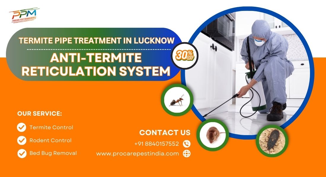 Anti-Termite Reticulation System in Lucknow
