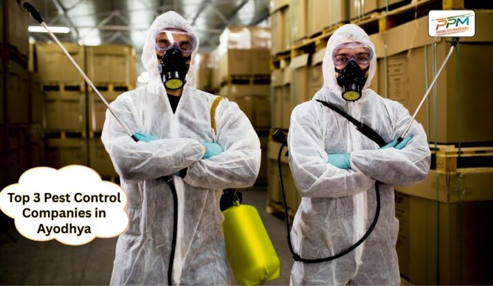 Top 3 Pest Control Companies in Ayodhya
