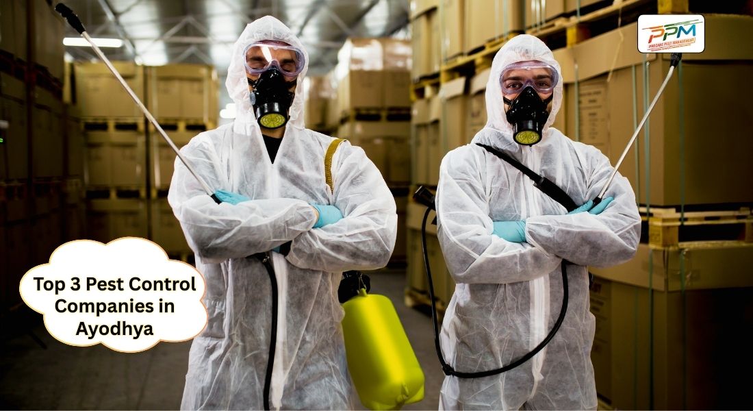 Top 3 Pest Control Companies in Ayodhya