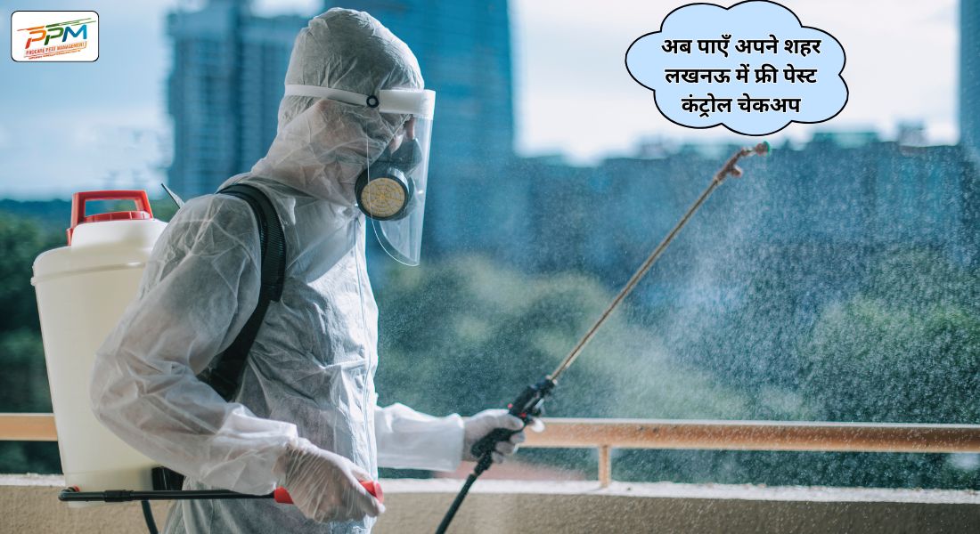Free Pest Control checkup in Lucknow