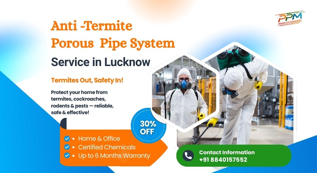 Anti-Termite Porous Pipeline Service in Ayodhya