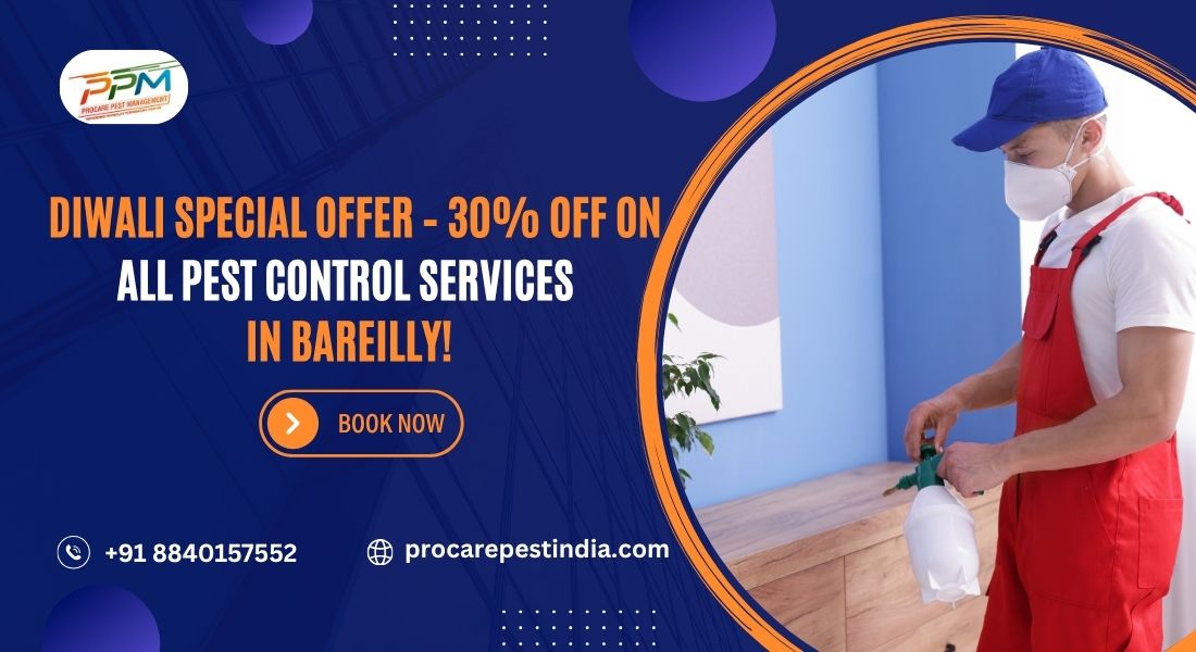 Diwali Special Offer – 30% OFF on All Pest Control Services in Bareilly!