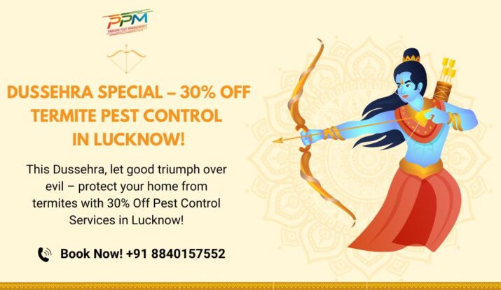 Dussehra Special – 30% Offer Termite Pest Control in Lucknow