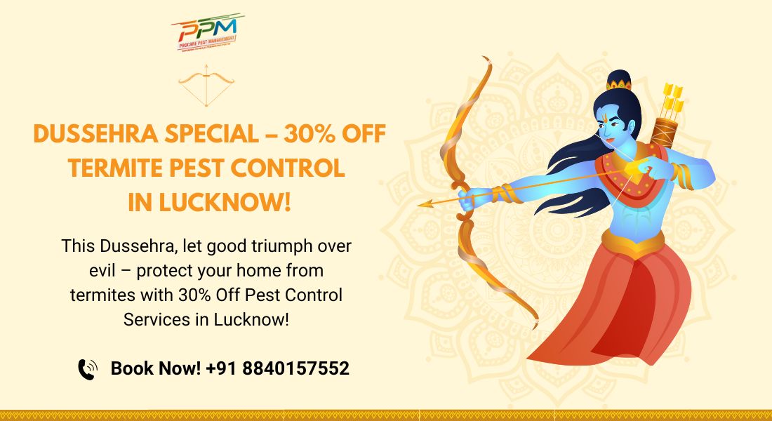 Dussehra Special – 30% Offer Termite Pest Control in Lucknow