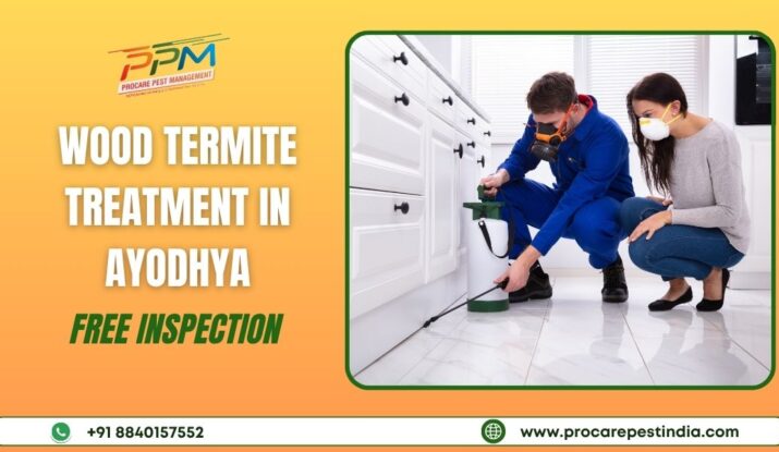Wood Termite Treatment in Ayodhya