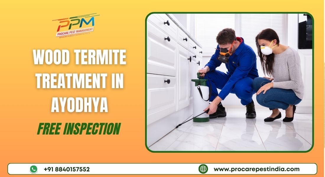Wood Termite Treatment in Ayodhya