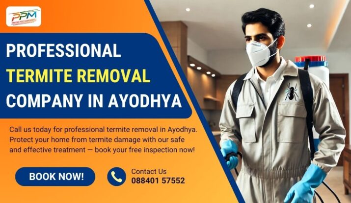 Professional Termite Removal Company in Ayodhya