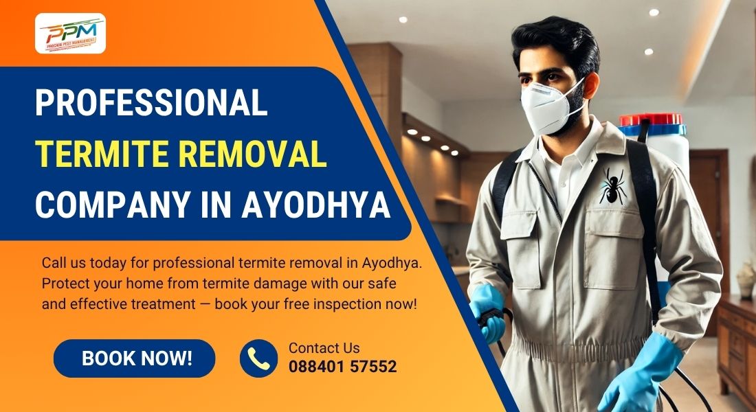 Professional Termite Removal Company in Ayodhya