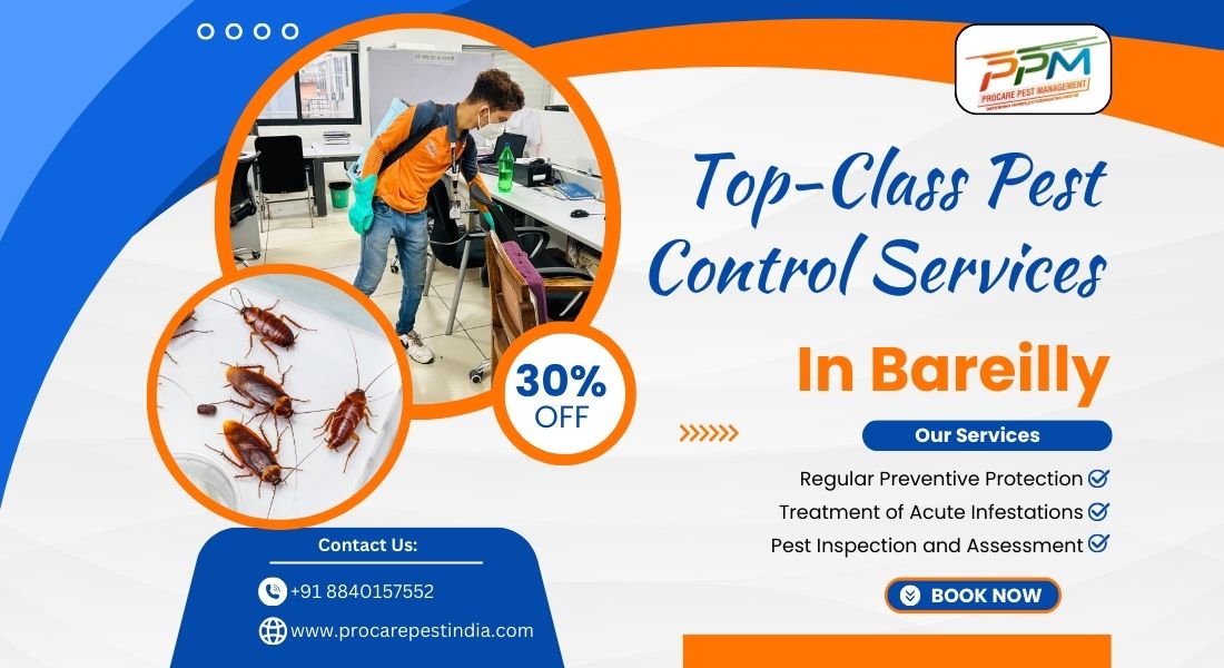 Top-Class Pest Control Services in Bareilly