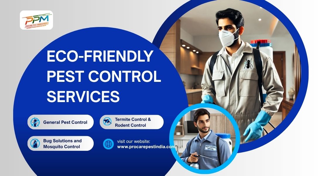 Eco-Friendly Pest Control Services in Lucknow