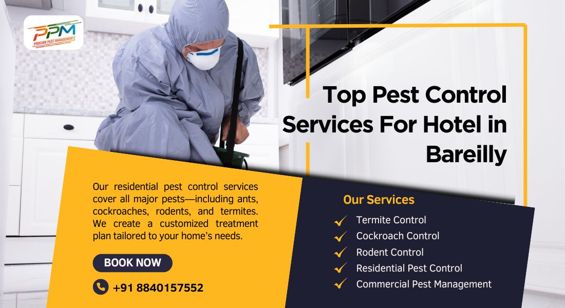 Top 5 Pest Control Companies in Bareilly