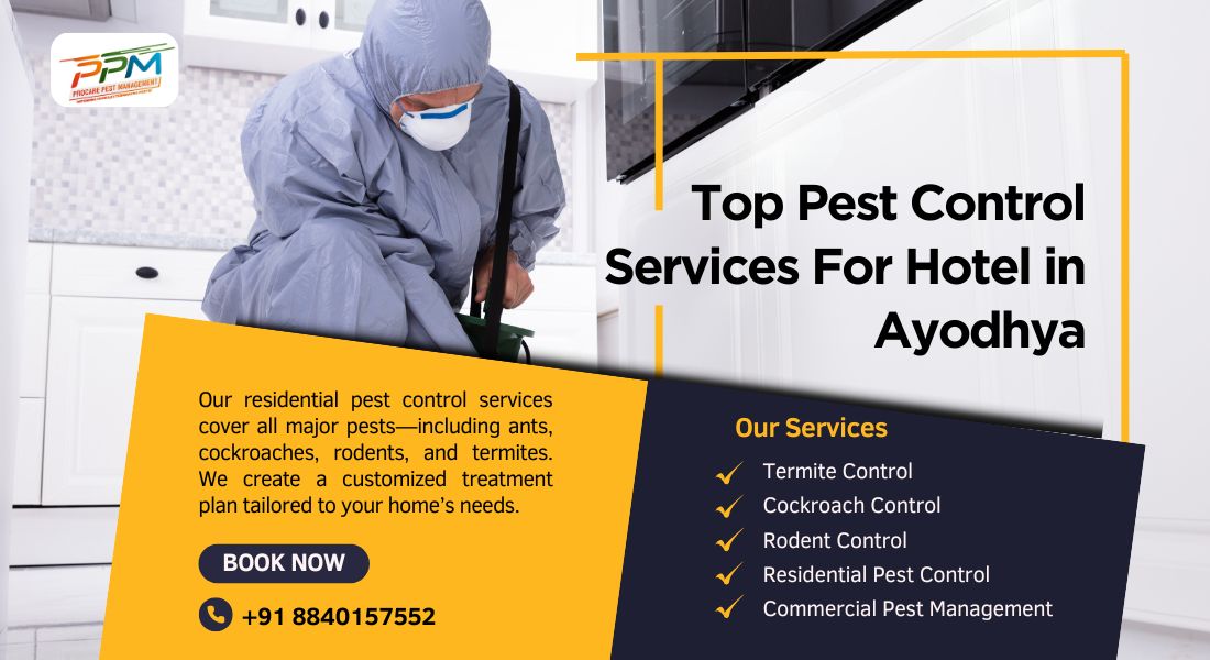 Top 5 Pest Control Companies in Ayodhya