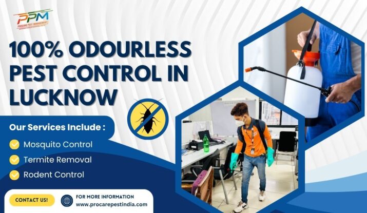 100% Odourless Pest Control in Lucknow