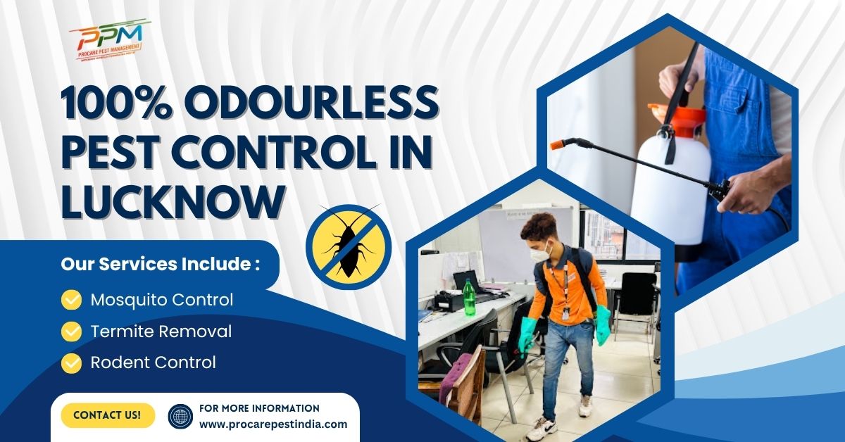 100% Odourless Pest Control in Lucknow