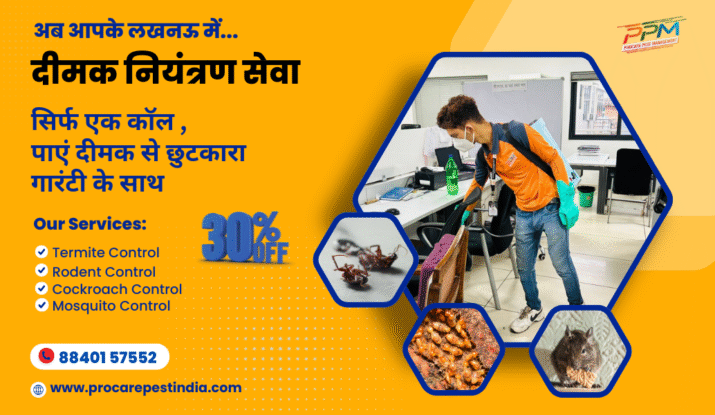 Termite Control Service