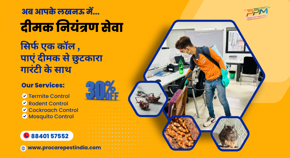 Termite Control Service