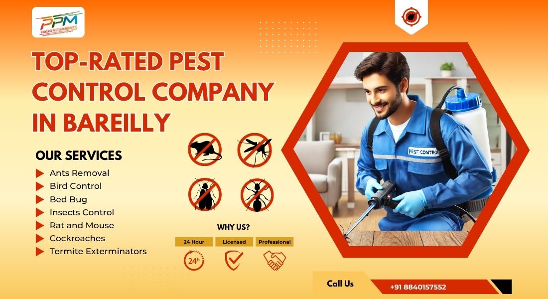 Top-rated Pest Control Company in Bareilly