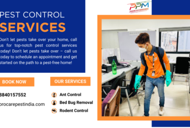 Professional Pest Control Services in Lucknow | Free Inspection