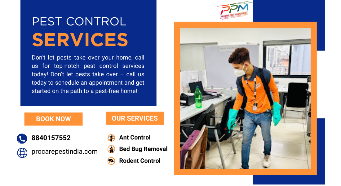 Professional Pest Control Services in Lucknow | Free Inspection