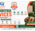 Pest Control Services in Vrindavan Yojana Lucknowa