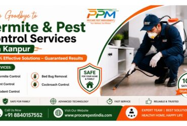 Termite & Pest Control Services in Kanpur