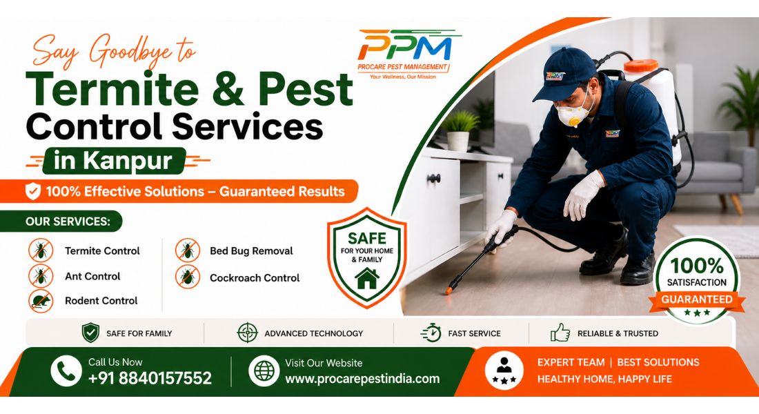 Termite & Pest Control Services in Kanpur