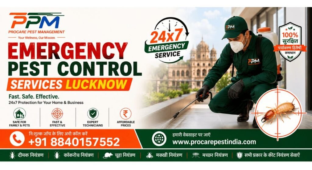 Emergency Pest Control Services Lucknow