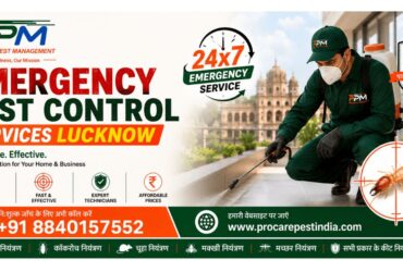 Emergency Pest Control Services Lucknow