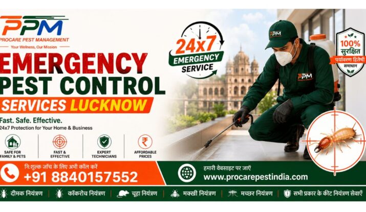 Emergency Pest Control Services Lucknow