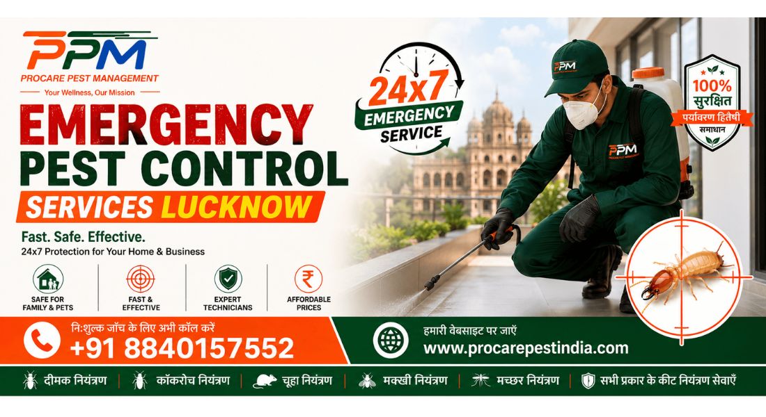 Emergency Pest Control Services Lucknow