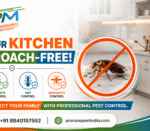 Cockroach Control Service in Lucknow | Procare Pest Management