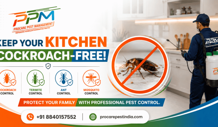 Cockroach Control Service in Lucknow | Procare Pest Management