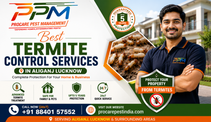 Best Termite Control Services in Aliganj Lucknow